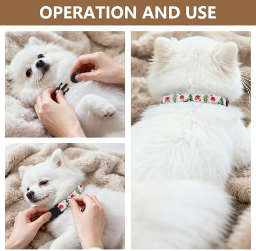 White Cranes Wings Easy to Wear Pet Collars 2 Pack Collar for Kitten