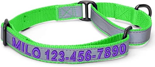 Pawtitas Customized Martingale Dog Collar Reflective Reflective Dog Collar Embroidered Personalized Name Phone Number Adjustable for Puppies Small Medium Large Size Dogs Small Green
