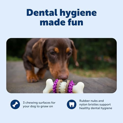 PetSafe Busy Buddy Bristle Bone Dog Treat Holding Chew Toy, Extra Small