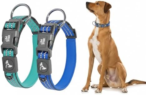 Dog Collar Bundle for Large Dogs (Width - 1", Length - 21"-25") | Adjustable Padded Blue & Turquoise Dog Collars with Heavy Duty O-Ring | Soft & Comfortable Fit for Large Dogs