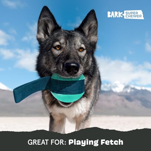 BarkBox Super Chewer Rope Dog Toy - Large