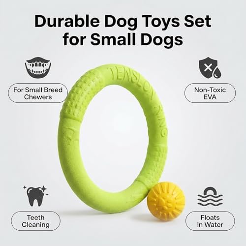 Small Dog Ball with Strap, Floating EVA Interactive Toy (Green, Small)