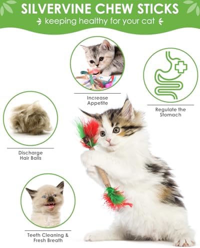 TINDTOP Cat Chew Toys, Silvervine Chew Sticks with 2 Pack Chew Ropes