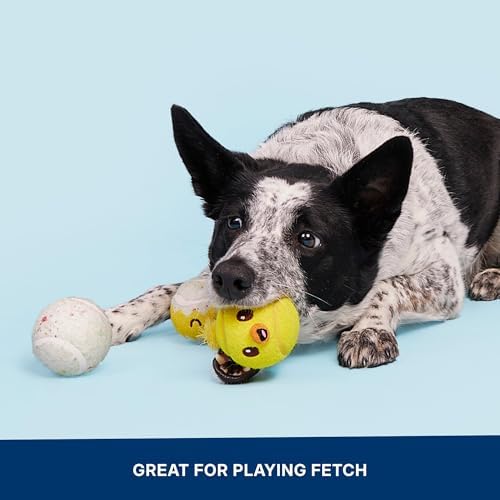 BarkBox Play Hatch Rubber Tennis Balls - for Dogs