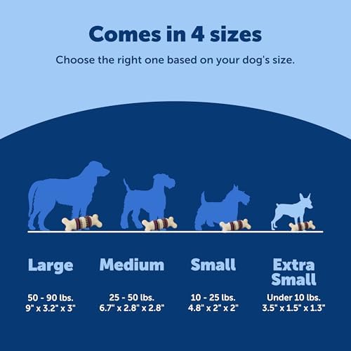 PetSafe Busy Buddy Bristle Bone Dog Treat Holding Chew Toy, Extra Small