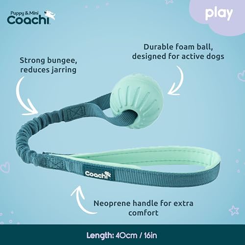 Coachi Puppy & Mini Tuggi Ball - Dog Toy for Tug of War & Play