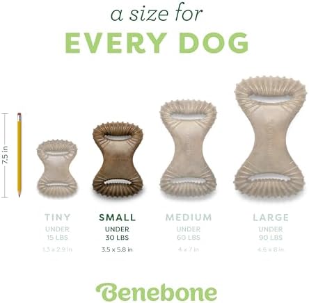 Benebone Dental Dog Chew Toy for Aggressive Chewers, Real Bacon, Small