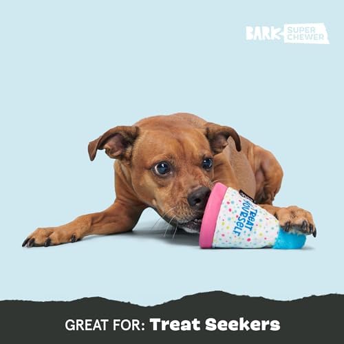 BarkBox Treat Yourself Party Hat Dog Toy - Toy for Small to Medium Dogs