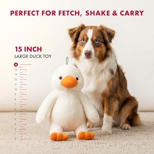 PetLou Colossal Durable Squeak Dog Toys -Durable Fabric -Tough and Reliable for Aggressive Chewers (00352)