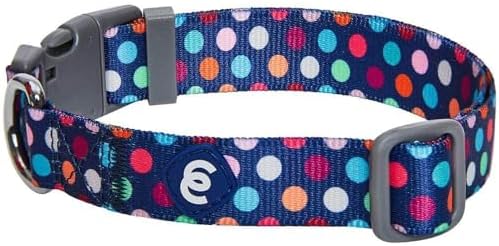 Blueberry Pet Essentials Rainbow Polka Dots Adjustable Dog Collar, Large, Neck 18"-26"