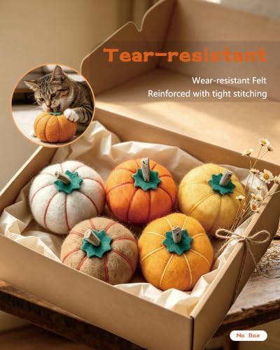 Cat Toy Balls, Pumpkin-Shaped, 5 Pack