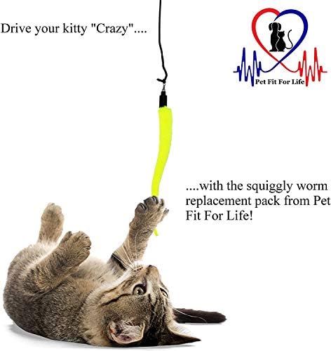 Pet Fit For Life 5 Piece Replacement Pack of Worms for Cat and Kitten Toy