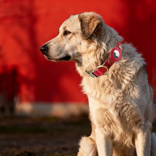 Airtag Dog Collar, PU Leather Collar with Airtag Holder for Large Dogs(Red)