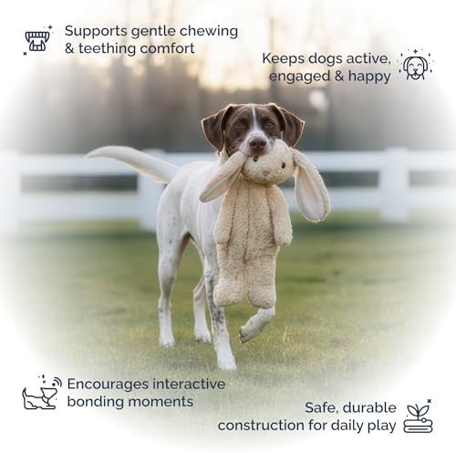 Petlou Stuffingless Floppy Plush Dog Toys with Durable Squeak and Crinkle Paper Dog Chew Toys for Large Dogs and Medium Dogs (TAN, 19 Inch Floppy Rabbit 3)