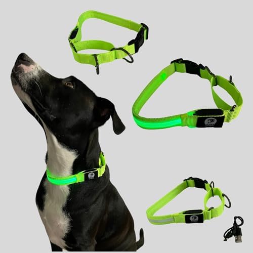 Light-Up Martingale Training Adjustable Dog Puppy Collar - REMIPET - Waterproof, LED Illuminated, USB Rechargeable, Reflective Safety, Durable, Nylon, Gift (Green, Medium)