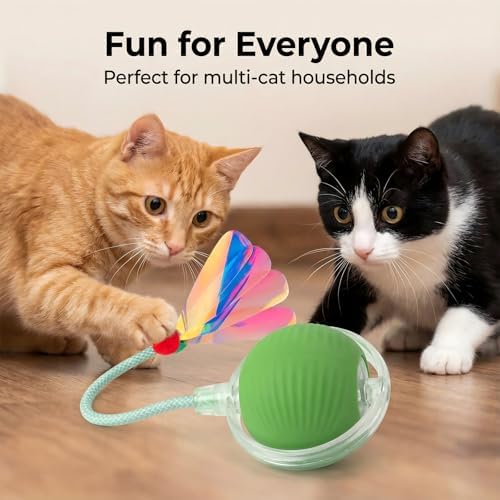 Interactive Cat Toy for Indoor Cats - Automatic Cat Toy Ball with Tail, Self Moving Electric Kitten Toys, USB Rechargeable Smart Rolling Ball, Motion Activated Cat Enrichment Toys for Bored Cats Green