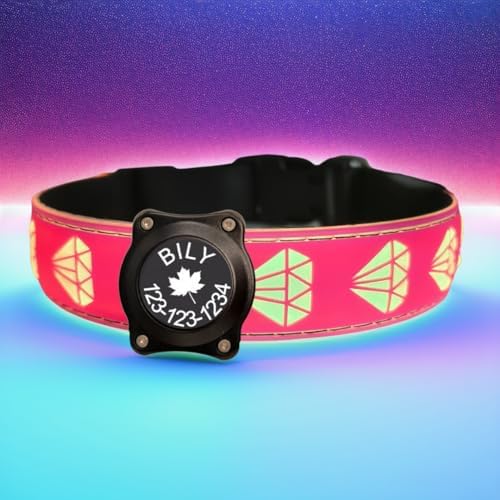 Personalized Dog Collar Waterproof airtag Dog tag Holder,USB C Light up Night Black Dog Collar (Pink, L(15.7-19.7"))