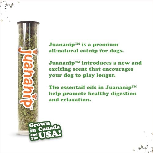 Doggijuana Mini Tuffer Chewer Dog Toy, Pupcorn | Squeaky Refillable Toy