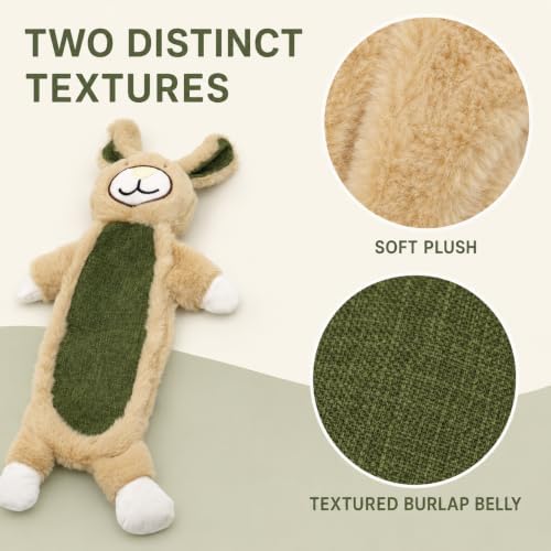 Rabbit Squeaky Plush Dog Toy with Crinkle for Puppies, Small/Medium Dogs