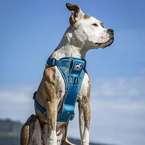 Kurgo Tru-Fit Smart Harness, Blue, Small