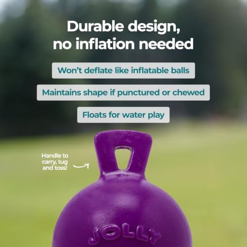 Jolly Pets Tug-n-Toss Heavy Duty Dog Toy Ball with Handle, 6 Inches/Medium, Purple