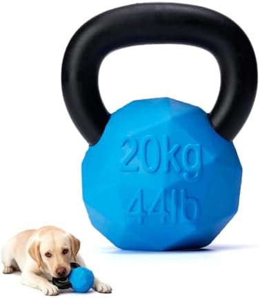 MECOOL Indestructible Dog Toy for Aggressive Chewers - Heavy Duty Chew Ring with Durable Nylon and Treat Dispenser Rubber Base, Interactive Food Puzzle Dog Chew Toy,Large Blue