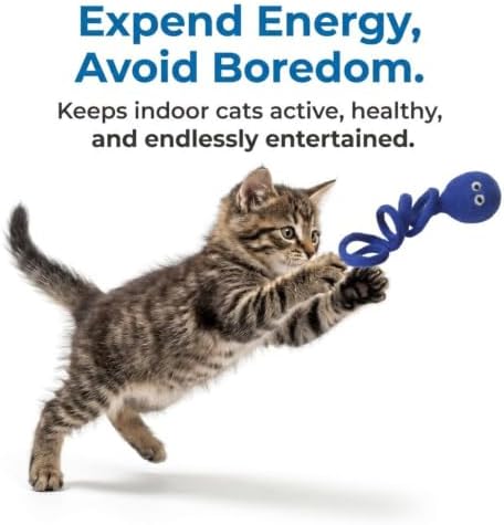 Glaciart One Felt Spring Cat Toy – 3 Pcs Soft Fuzzy Enrichment 100% Natural Wool - Interactive Stretchable Play Set - Safe for Pets, Non-AZO Colored Dyes - 4” Long