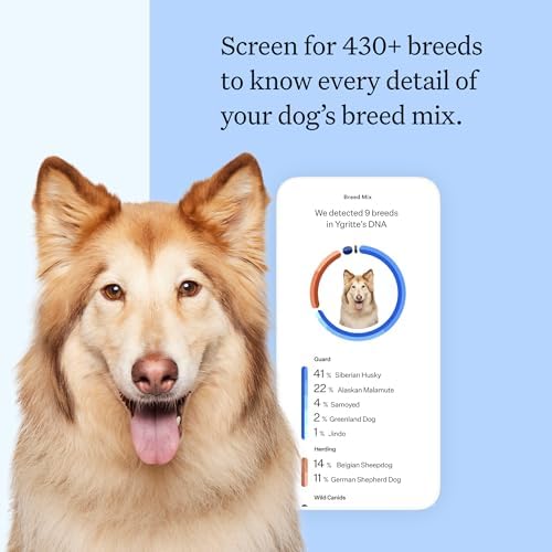 Wisdom Panel Breed Discovery Dog DNA Testing Kit - Most Accurate Dog Breed Identification - Test for 430+ Breeds, MDR1 Health Test, Ancestry, Relatives