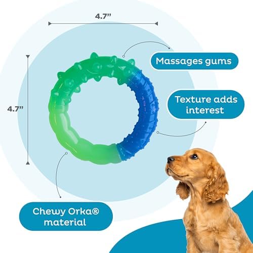 Grow-with-Me Ring Dental Dog Chew Toy, Bounces & Floats, 4.7"