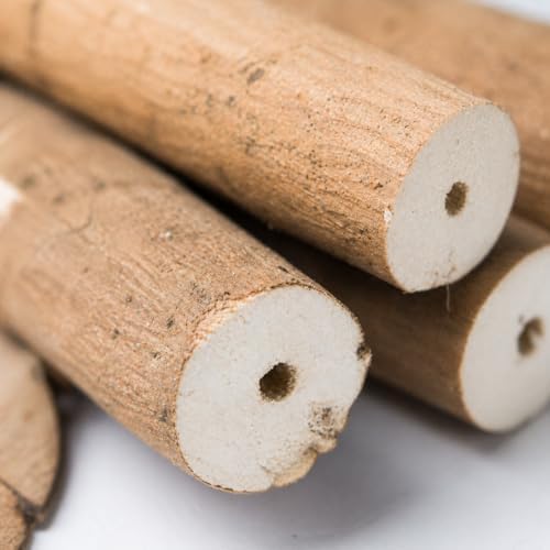 Bonka Bird Toys 1211 Pk6 Natural Bark Sola Sticks, 6-Pack, 3" Long, 1.25" Diameter, Soft Chew and Foraging Toy for Birds, Parrots, Parakeets, Cockatiels, Lightweight, Natural, Safe, Eco-Friendly