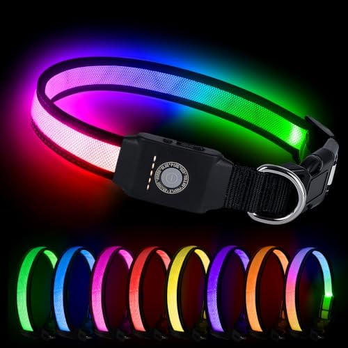 LED Dog Collar Light Up, USB Rechargeable Multicolor Glow Collar for Dogs