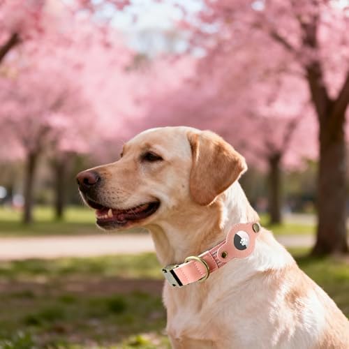 Airtag Dog Collar,Reflective Collar with Airtag Holder for Large Dogs(Blue)