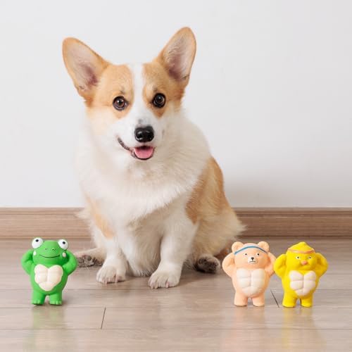 3 Pack Squeaky Dog Toys for Medium Dogs, Soft Latex Chicken Squeaky Dog Ball, Cute Funny Squeak Different Animals Frog Bear Chicken Pet Toys