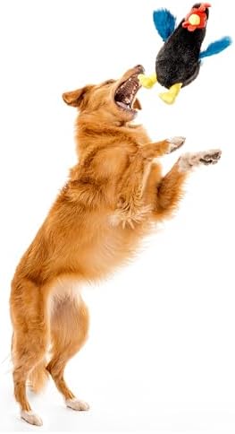 Playology Plush Hen Chew Toy for Large Dogs - Medium, Chicken Scent