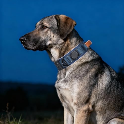 2" Tactical Dog Collar with Airtag Holder & Handle for Large Dogs (Blue)