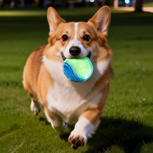 Glow in Dark Dog Ball Rubber Glow Squeaky Interactive Fun Toys