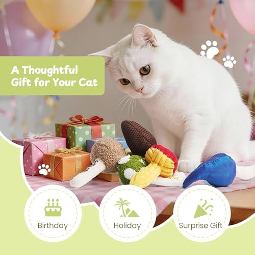 5 Pack Catnip Toys, Cat Toys with Catnip & Silvervine, Colorful Mushroom Kitten Teething & Cat Chew Toys with Different Textures, Funny Cat Kicking Toys for Indoor Cats