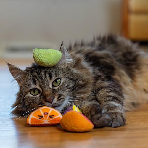 Catstages Dental Fruit Wedges Chew Cat Toys with Catnip, 5.3", 4-Pack