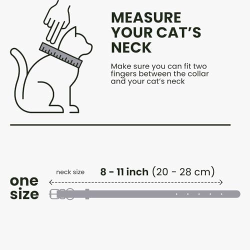 BRONZEDOG Cat Collar with Bell Kitten Rolled Leather Collars Safety QR ID Name Tag (Smoke Grey)