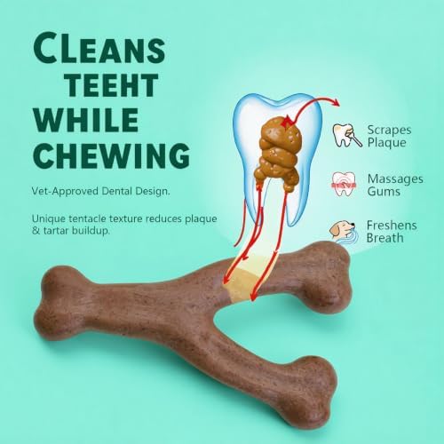 MECOOL Durable Nylon Dog Chew Toy – Bacon Flavored Y-Bone Shape for Aggressive Chewers, Tough Interactive Teething Bone for Medium Large Dogs, Long-Lasting Dental Chew Toy