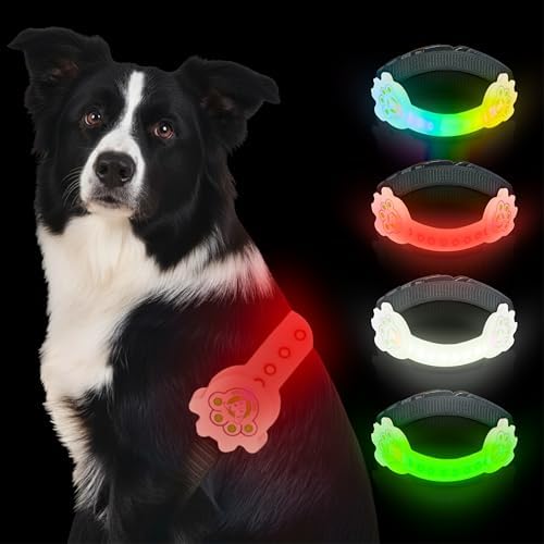 Rechargeable LED Dog Collar, Adjustable Size Light Up Collar with 360° Halo Effect, Ultra-Bright RGB Light, Weather-Resistant Design, Flash Mode, & USB-C Charging for Small, Medium & Large Dogs