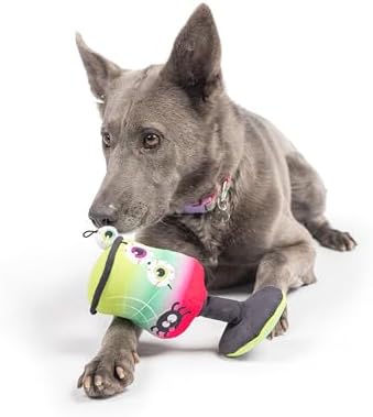 Huxley & Kent Funny Dog Toys w/Squeaker & Crinkle - Stimulating & Interactive Chew Toy for Dogs - Mesh Lined Stuffed Dog Toy - Easy to Clean Doggie Toys for All Breeds - Witch's Potion, One Size