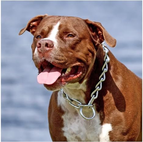 Choke Chain Collars for Dog Training and Walking Welded Steel Choose Thickness and Length (Light - 2.5mm, 22")