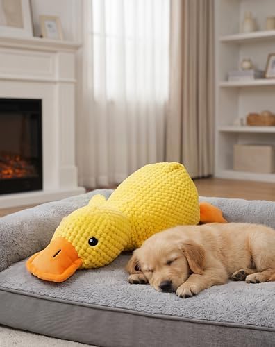 JINTONE Funny Dog Toy,Yellow Squeaky Dog Toy Duck for Dogs(Small Size)