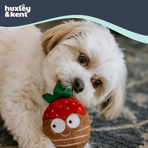 Huxley & Kent Tiny Tuff Plush Dog Toy, Chocolate Covered Strawberry