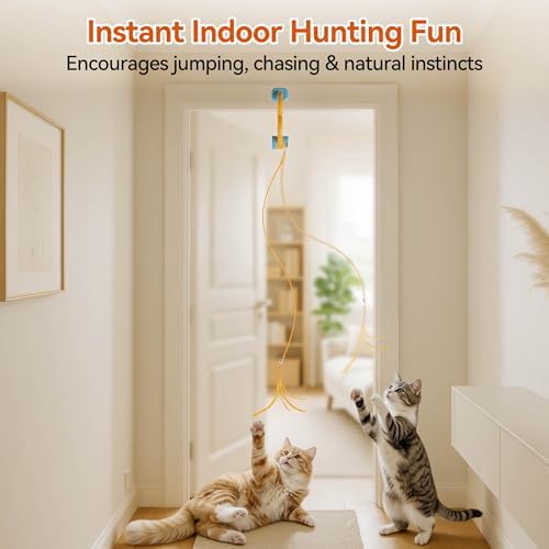 ALL FOR PAWS Interactive Cat Toy for Indoor Cats, Automatic Door Hanging Feather Wand Toy, USB Rechargeable Self-Playing Cat Toys for Adult Cats & Kittens, Boredom Relief & Enrichment