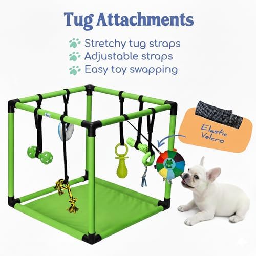 Race&Herd 19.5" Puppy Play Gym — Small Dog Jungle Activity Mat (Lime)