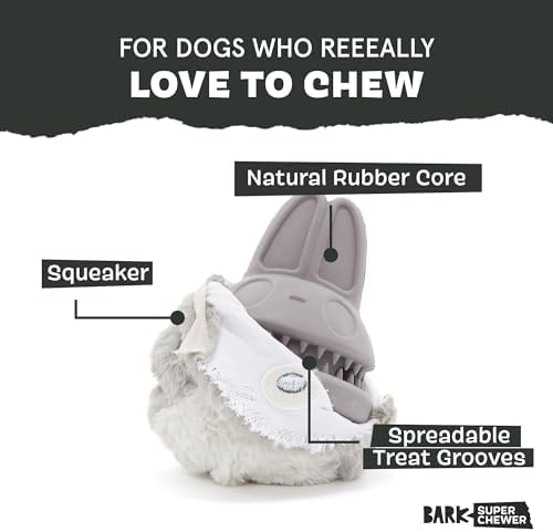 BarkBox Hare Raiser Super Chewer - 2-in-1 - Toy for Medium to Large Dogs