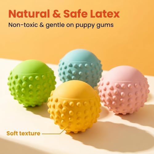 Squeaky Dog Toys for Puppy Small Medium Dogs, 4PCS