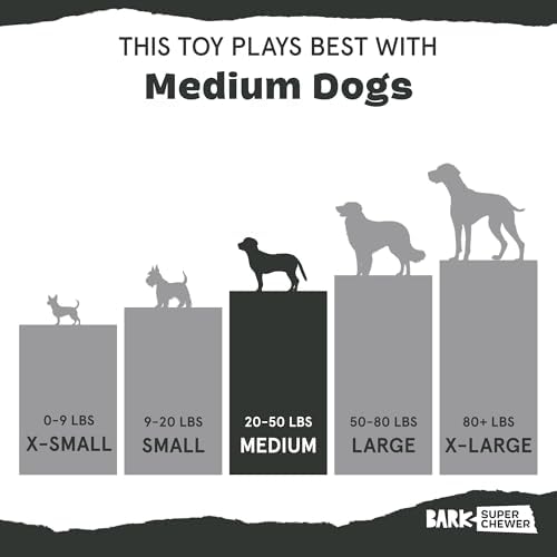 BarkBox Jelly Fetch Dog Toy - for Medium Dogs